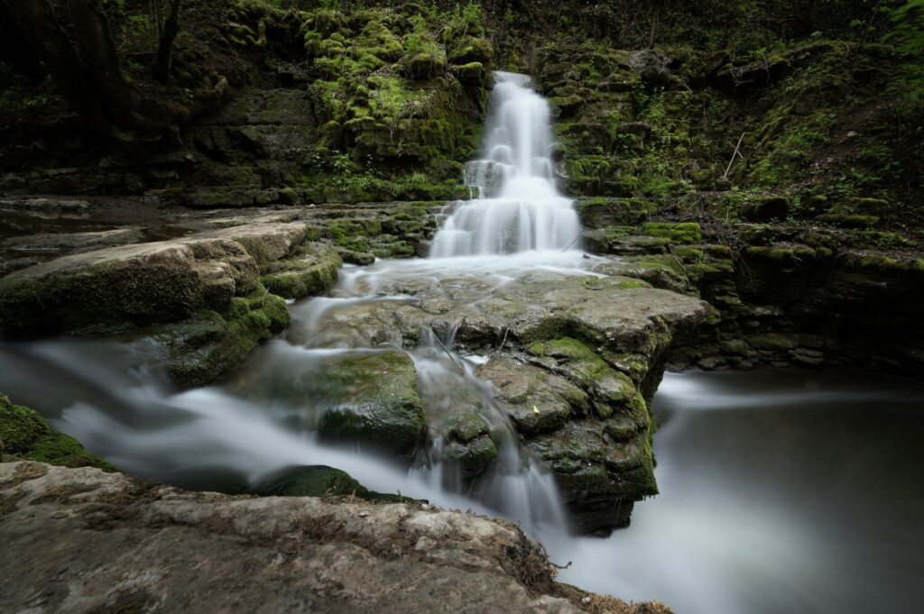 Bild eines Wasserfalls inmitten von Steinen und Pflanzen